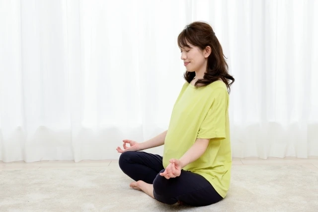 行政書士13