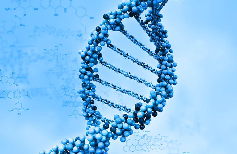一生に一度だけの遺伝子検査で見つける健康体の秘訣【巣鴨ヨガ】